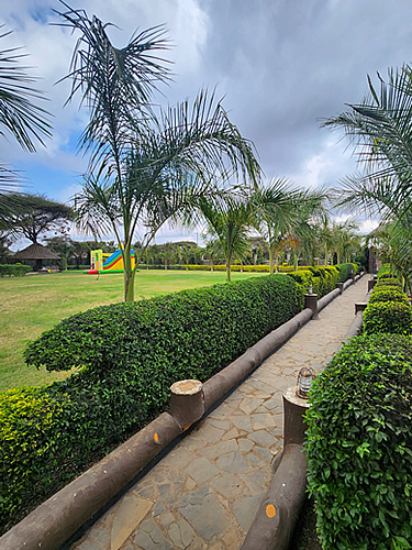 Penety Amboseli Resort surrounded by beautiful Amboseli savannah landscape
